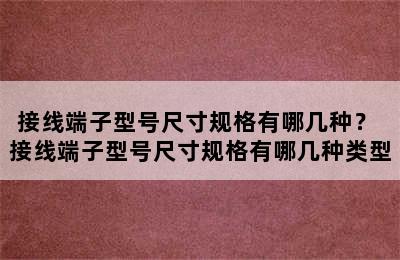 接线端子型号尺寸规格有哪几种？ 接线端子型号尺寸规格有哪几种类型